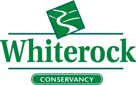 whiterock logo (1)